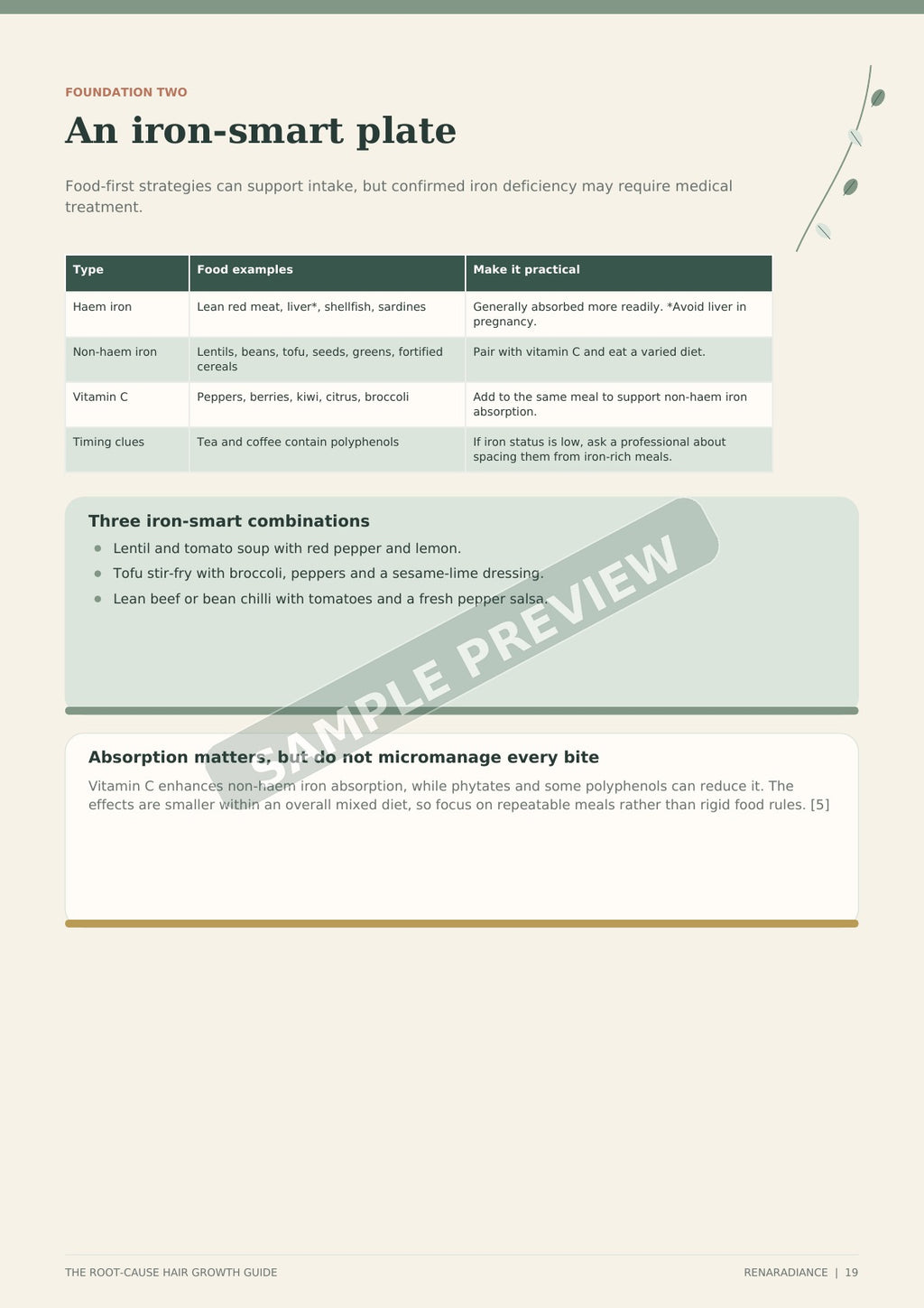 Iron-smart plate preview